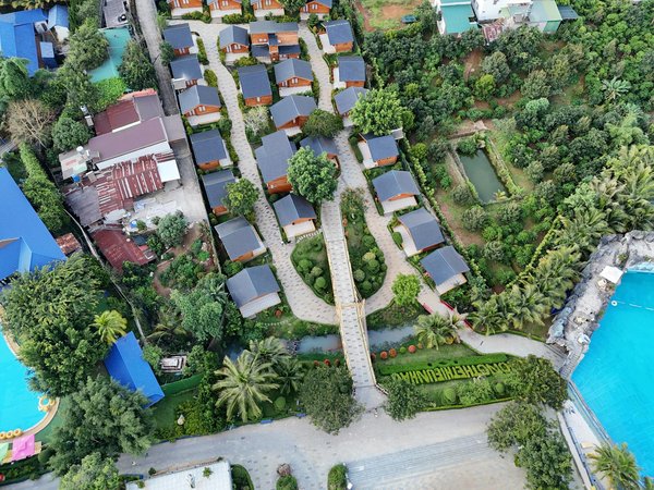 La calvitie masculine, comment l'éviter?