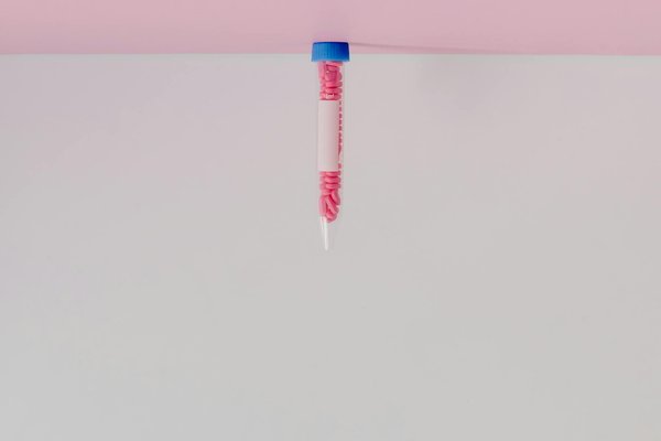 L'importance de l'activité physique pour la santé cardiovasculaire des seniors